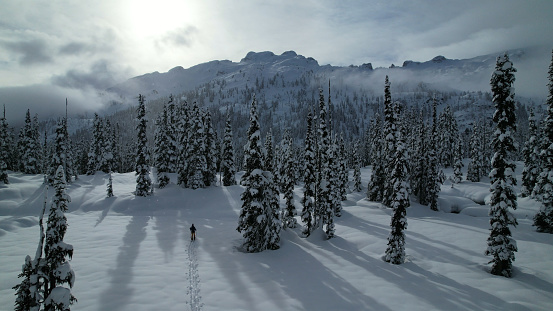 Aerial view of backcountry skier climbing snow covered mountain through forest