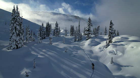 Aerial view of backcountry skier climbing snow covered mountain through forest