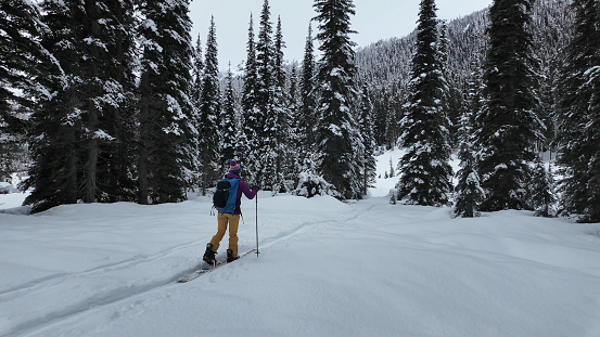 Backcountry skier ascends mountain through forest after fresh snowfall