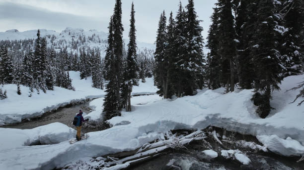 istock Backcountry skier crosses stream in forest 2038281479