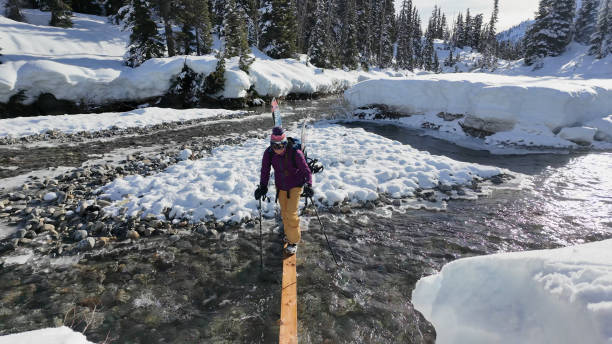 istock Backcountry skier crosses stream in forest 2038281514