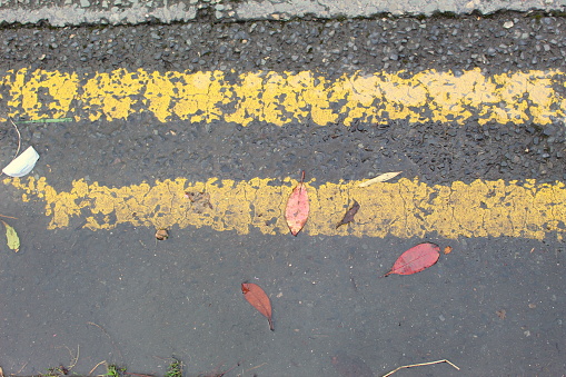 A photo of a double yellow road lines with a puddles and leaves and an urban road.