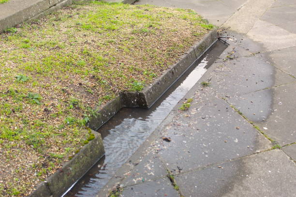 istock Puddle of water beside pavement curb 2038309291