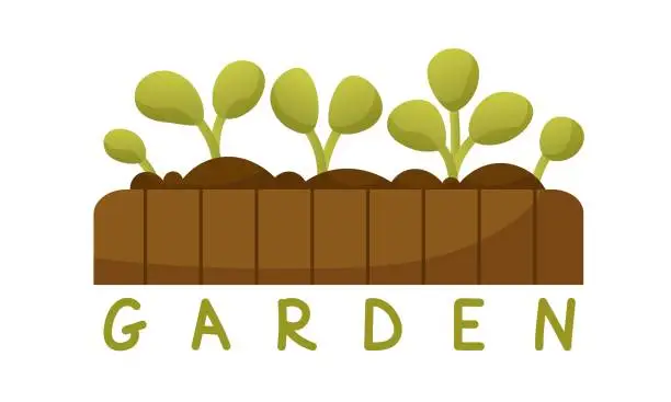 Vector illustration of Sprout grown from seeds. Green seedlings, sapling, sprout of vegetables, fruits in a wooden box. Banner on the theme of vegetable garden. Spring gardening. The beginning of the gardening season.