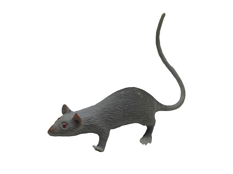Mouse figurine isolated on white background