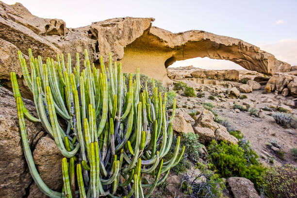 istock Natural Arch in the Desert 2038343533