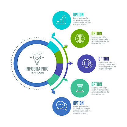 Vector illustration of the infographic elements, circle diagram.