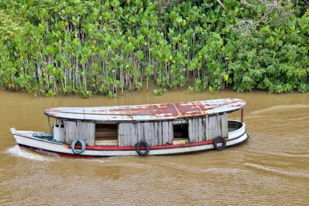 istock River bank of the Amazon river 2038435989