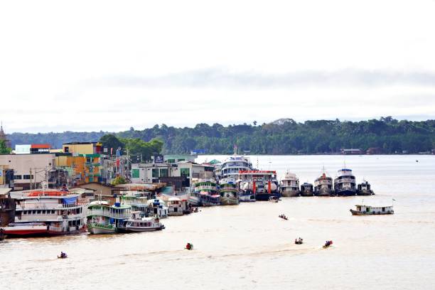 Traveling the Amazon rainforest