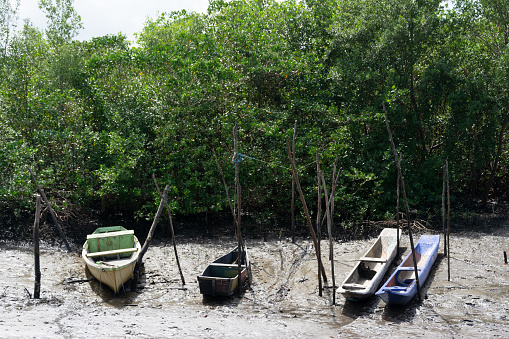 Santo Amaro, Bahia, Brazil - July 19, 2015: Several fishing canoes docked on the river in the Acupe district in the city of Santo Amaro, Bahia.
