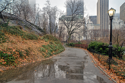 Central Park in winter during rain storm, early morning