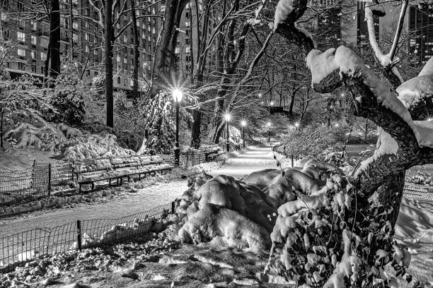 istock Central Park in winter , snow storm 2038447366