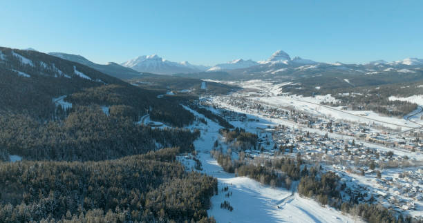 istock Aerial view of mountains and forest in fresh snow 2038459150