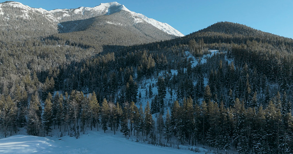 Aerial view of mountains and forest in fresh snow