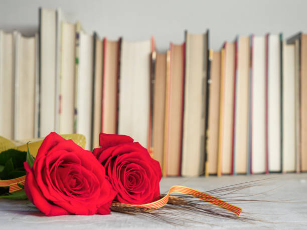 Sant Jordi Red Rose flower with books