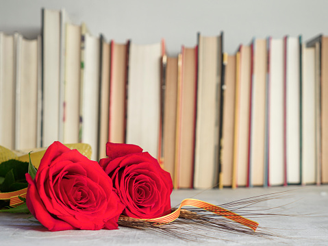 Red roses with ears of wheat with a bookcase background. Romantic day of lovers, tradition in Catalonia, Spain.