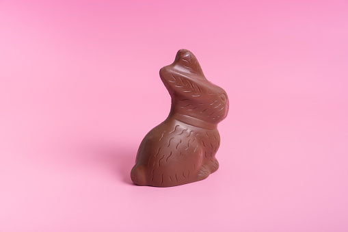 Chocolate rabbit symbol to  Easter holidays on a pink background.