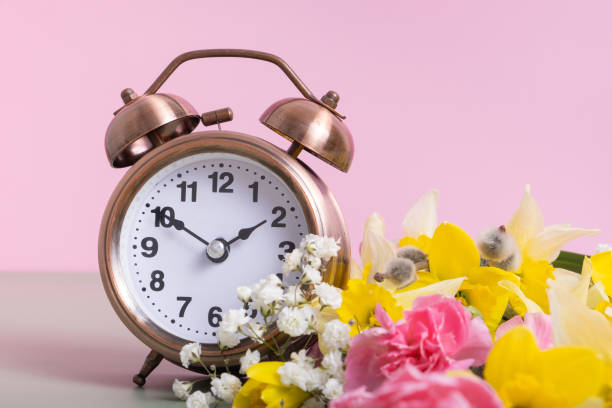 istock Alarm clock with spring flowers. Spring time, daylight savings concept, spring forward 2038498831