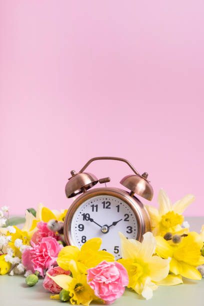 istock Alarm clock with yellow and pink flowers. Spring time, daylight savings concept, spring forward 2038498834
