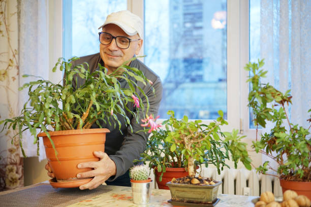 istock Maintaining Flowers at Home 2038501951