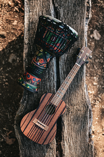 bongo and guitar outdoors in nature.