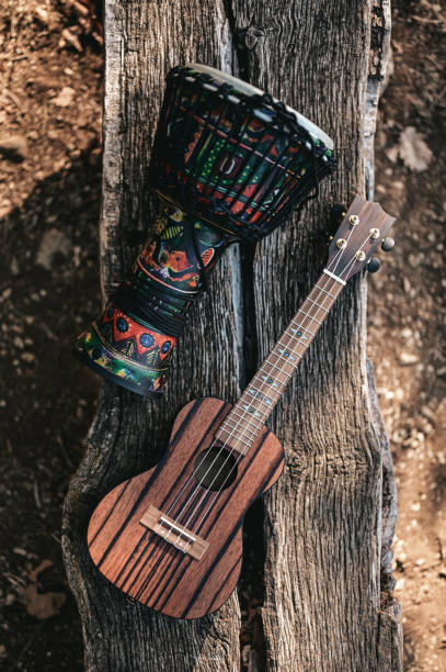 bongo and guitar outdoors in nature. bongo and guitar outdoors in nature. guiro stock pictures, royalty-free photos & images