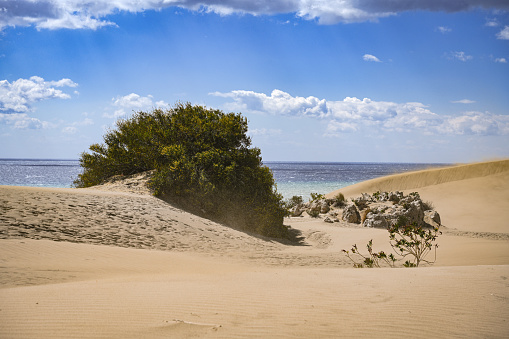 Patara beach where turtles hatch