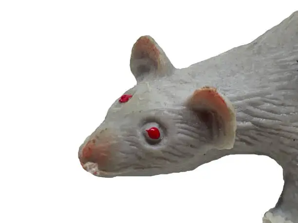 Photo of The toy is the head of a gray mouse on a white background