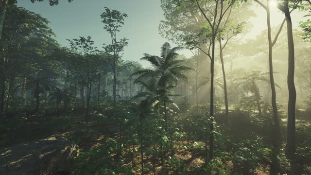Amazing mystery rainforest landscape with tropical plants