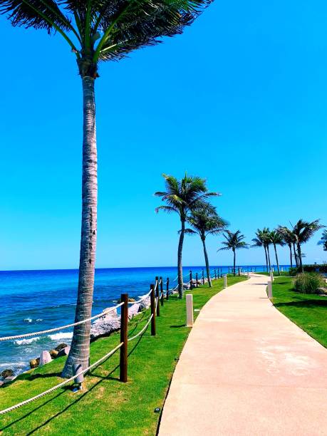 istock Latin America. Mexico. Cancun. Beautiful life 2038706561