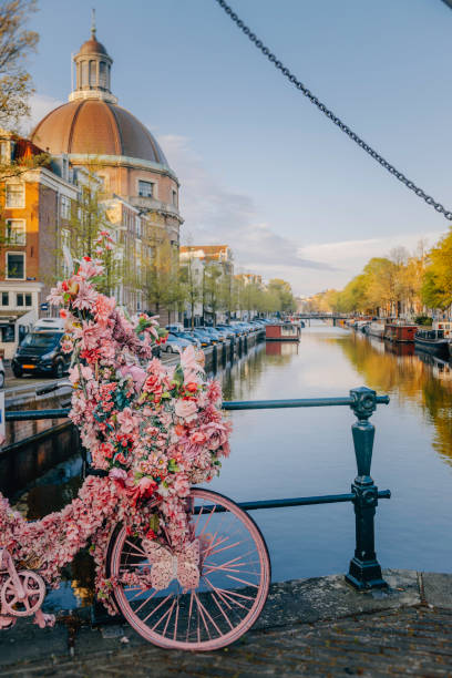 Flower-Adorned Bicycle Parked on Amsterdam Canal Bridge