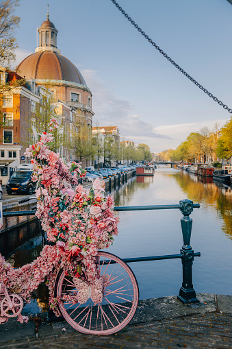 A charming scene unfolds on a typical Amsterdam canal bridge, where a pink bicycle adorned with colorful flowers is parked against the railing. The vibrant blooms add a touch of whimsy to the scene, complementing the picturesque backdrop of historic canal houses and lush greenery. This idyllic image captures the essence of Amsterdam's unique charm, where everyday objects like bicycles are transformed into works of art amidst the city's iconic canals