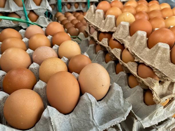 istock Close Up Chicken eggs arranged on a cardboard shelf 2038800718