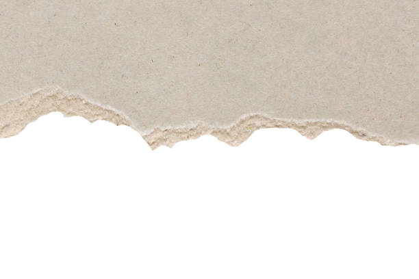 istock Gray ripped paper torn edges strips isolated on white background 2038815778