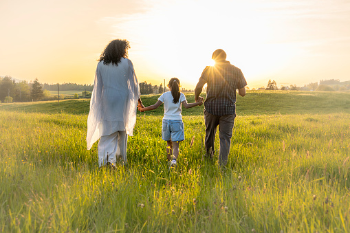 Mother, father and daughter holding hands and walking in field at sunset, back view wide shot