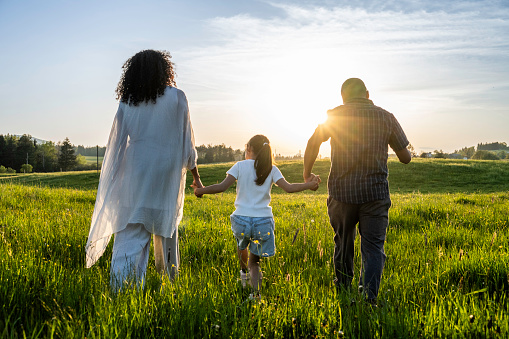 Mother, father and daughter holding hands and walking in field at sunset, back view wide shot