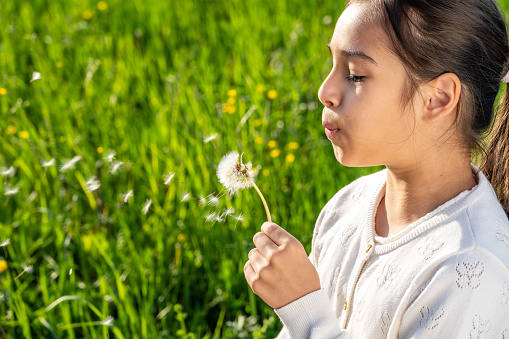 Girl blowing dandelion seed in green meadow field in summer, close up side view