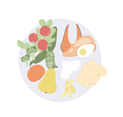 Healthy eating plate. Wellbeing concept. Diet plan schedule program. Nutrient counting. Meal tracking concept. Weight loss control. Vector flat illustration isolated on white background.