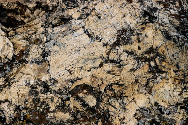 istock Quartz and limestone conglomerate, golden granite texture, background for template. 2038825738