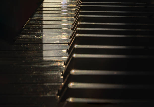 Classic black and white piano keys. Old photo. Piano in the field.