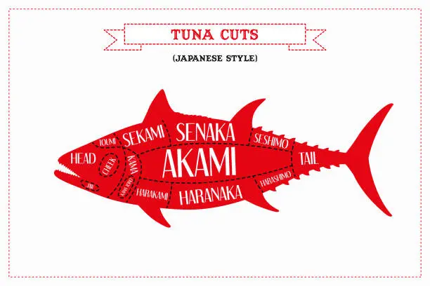 Vector illustration of Color Guide to Butcher Diagrams for Cutting Tuna Estilo japonés