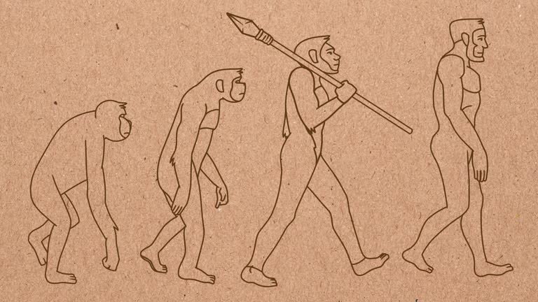 Human Evolution. 4 Stages. Hand Drawn Animation.