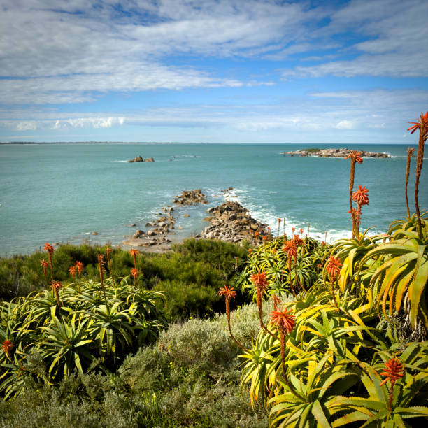 Views around Freeman Lookout at Horseshoe Bay in Port Elliot on the Fleurieu Peninsula, South Australia