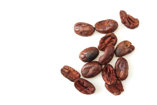 Dried cocoa beans isolated on a white background, top view