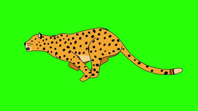 Cheetah Animal Run Cycle Animation.