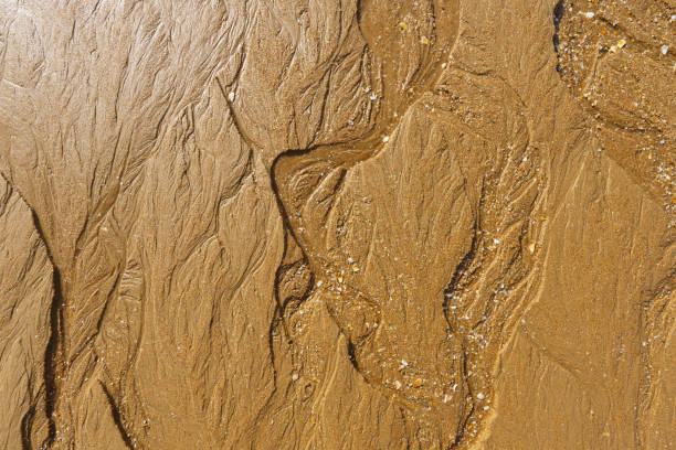 istock Patterns in the wet sand create a natural tapestry at the beach 2038919402