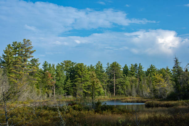 istock Pictured Rocks NL - Sand Point Marsh Trail  - Reflecting Pool Near Forest 2038943421