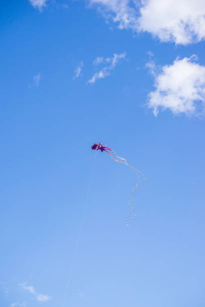 Background of a kite flying on the sky. Flying a kite is common outdoor activity during summer. Kids, adults or family member can play this sport together thanks to mild wind. Nice concept for hobby