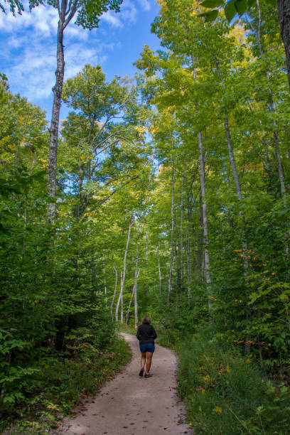 Pictured Rocks NL - Trail to the Log Slide