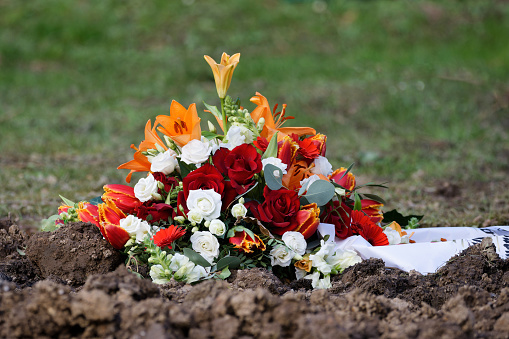 a flower arrangement with white and red roses, fire lilies and a mourning ribbon lies on the earth of a fresh grave in a cemetery
